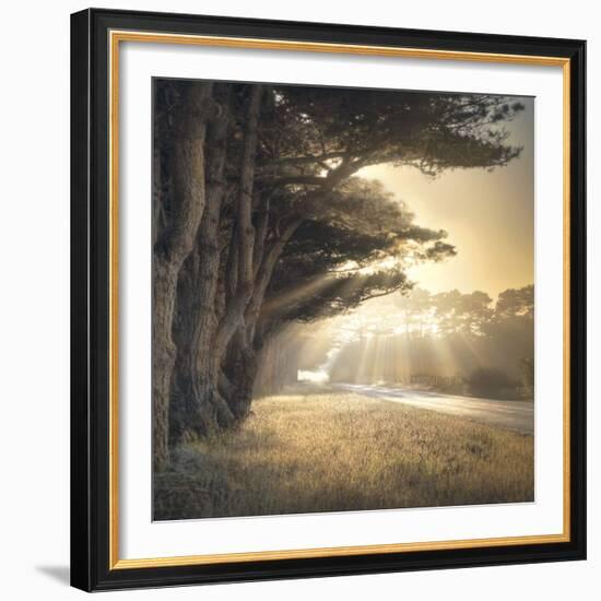 No Place To Fall-William Vanscoy-Framed Art Print