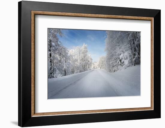 No Question About It-Philippe Sainte-Laudy-Framed Photographic Print