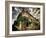 No Sales Today-Stephen Arens-Framed Photographic Print