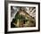 No Sales Today-Stephen Arens-Framed Photographic Print