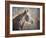 No Sharing Horse-Jai Johnson-Framed Giclee Print