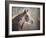 No Sharing Horse-Jai Johnson-Framed Giclee Print