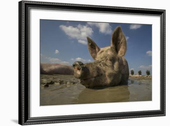 No Stress-Gert Van Den-Framed Photographic Print