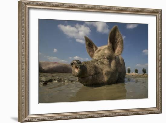 No Stress-Gert Van Den-Framed Photographic Print