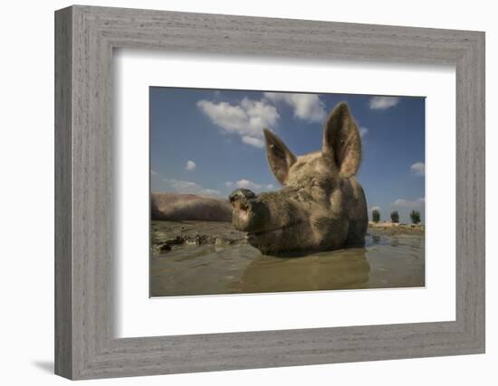 No Stress-Gert Van Den-Framed Photographic Print