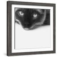No Stress-Jon Bertelli-Framed Photographic Print