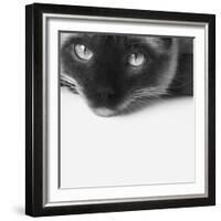 No Stress-Jon Bertelli-Framed Photographic Print