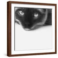 No Stress-Jon Bertelli-Framed Photographic Print
