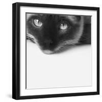 No Stress-Jon Bertelli-Framed Photographic Print