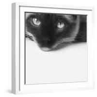 No Stress-Jon Bertelli-Framed Photographic Print