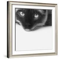 No Stress-Jon Bertelli-Framed Photographic Print