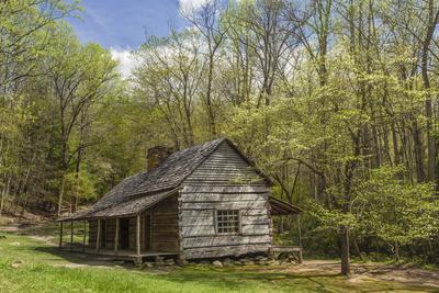 Noah Bud Ogle Cabin In Spring Great Smoky Mountains National