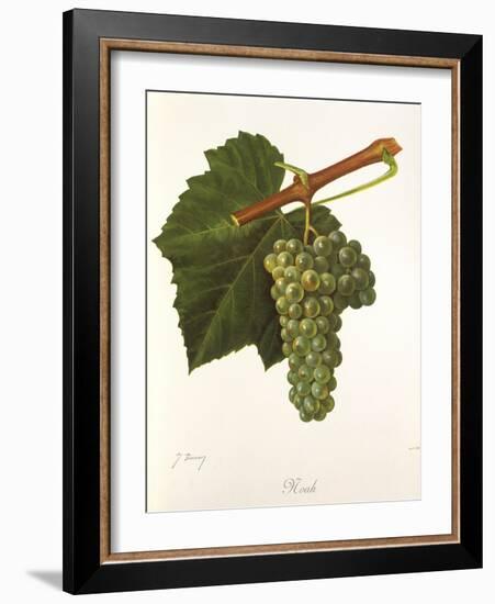 Noah Grape-J. Troncy-Framed Giclee Print