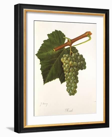 Noah Grape-J. Troncy-Framed Giclee Print