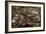 Noah's Ark-Francesco Bassano-Framed Giclee Print