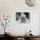 Nobel Prize Winning Indian Poet Rabindranath Tagore Reading to Others-null-Premium Photographic Print displayed on a wall