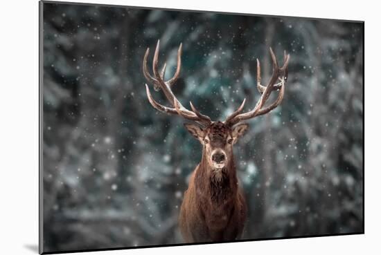 Noble Deer Male in Winter Snow Forest. Artistic Winter Christmas Landscape.-null-Mounted Photographic Print