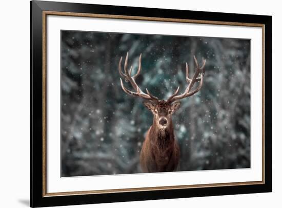 Noble Deer Male in Winter Snow Forest. Artistic Winter Christmas Landscape.-null-Framed Photographic Print