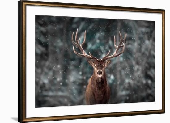 Noble Deer Male in Winter Snow Forest. Artistic Winter Christmas Landscape.-null-Framed Photographic Print