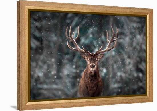 Noble Deer Male in Winter Snow Forest. Artistic Winter Christmas Landscape.-null-Framed Premier Image Canvas