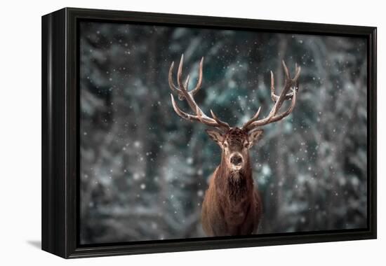 Noble Deer Male in Winter Snow Forest. Artistic Winter Christmas Landscape.-null-Framed Premier Image Canvas