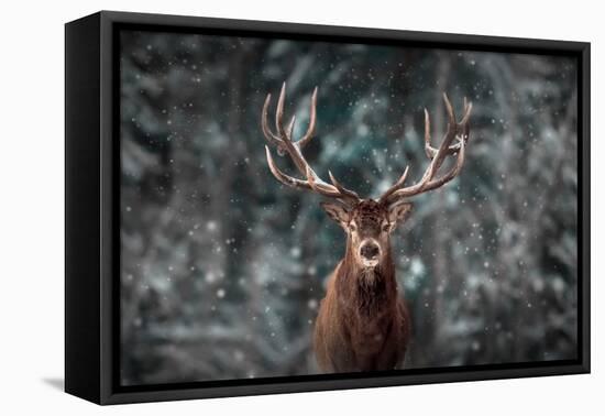 Noble Deer Male in Winter Snow Forest. Artistic Winter Christmas Landscape.-null-Framed Premier Image Canvas
