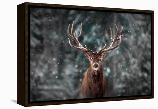 Noble Deer Male in Winter Snow Forest. Artistic Winter Christmas Landscape.-null-Framed Premier Image Canvas