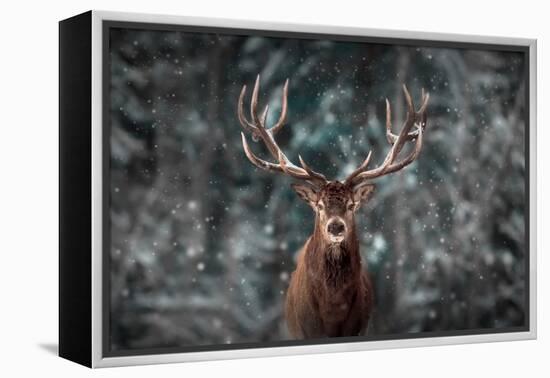 Noble Deer Male in Winter Snow Forest. Artistic Winter Christmas Landscape.-null-Framed Premier Image Canvas