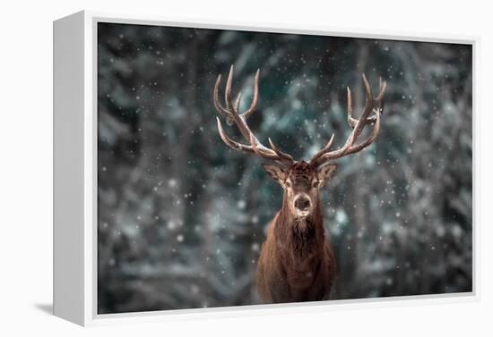 Noble Deer Male in Winter Snow Forest. Artistic Winter Christmas Landscape.-null-Framed Premier Image Canvas