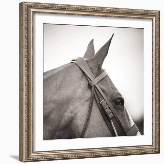 Noble Gaze-Joseph Eta-Framed Giclee Print