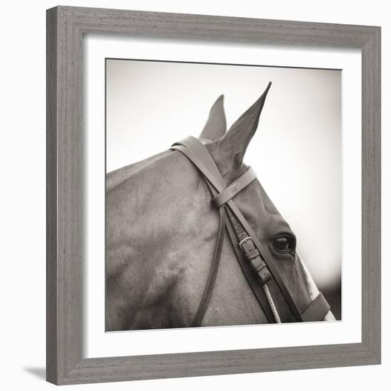 Noble Gaze-Joseph Eta-Framed Giclee Print