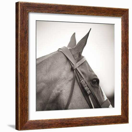 Noble Gaze-Joseph Eta-Framed Giclee Print