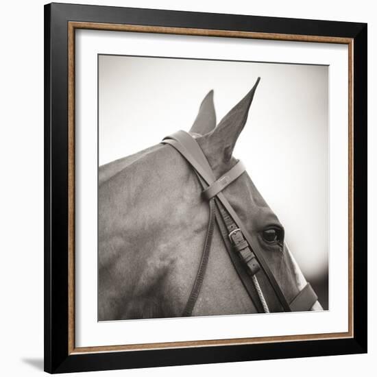 Noble Gaze-Joseph Eta-Framed Giclee Print