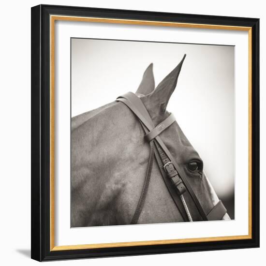 Noble Gaze-Joseph Eta-Framed Giclee Print