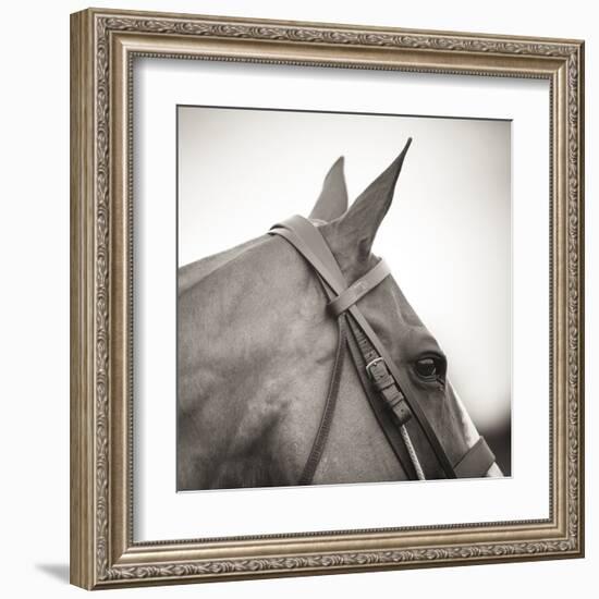 Noble Gaze-Joseph Eta-Framed Giclee Print