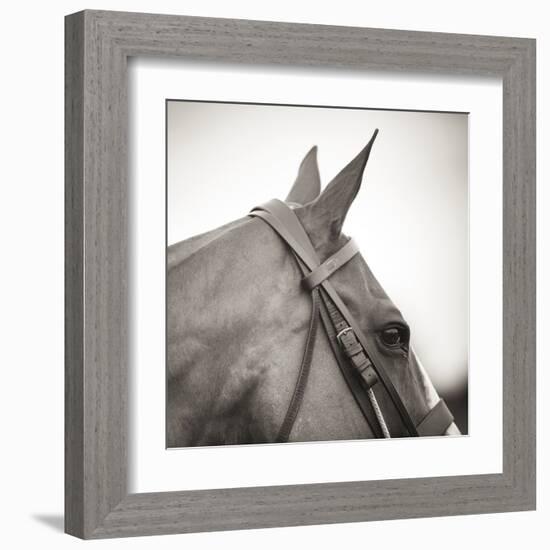 Noble Gaze-Joseph Eta-Framed Giclee Print