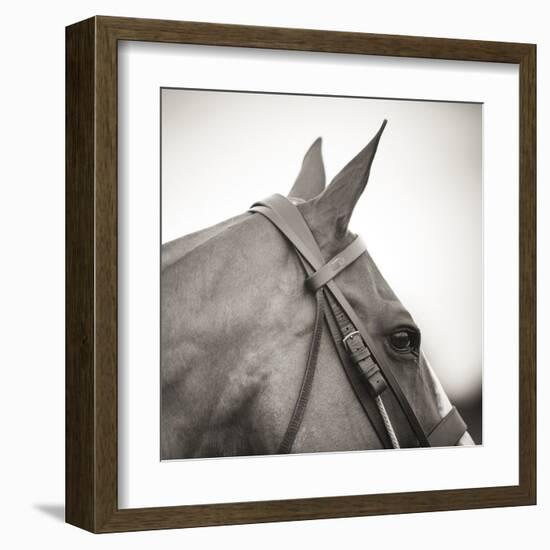 Noble Gaze-Joseph Eta-Framed Giclee Print