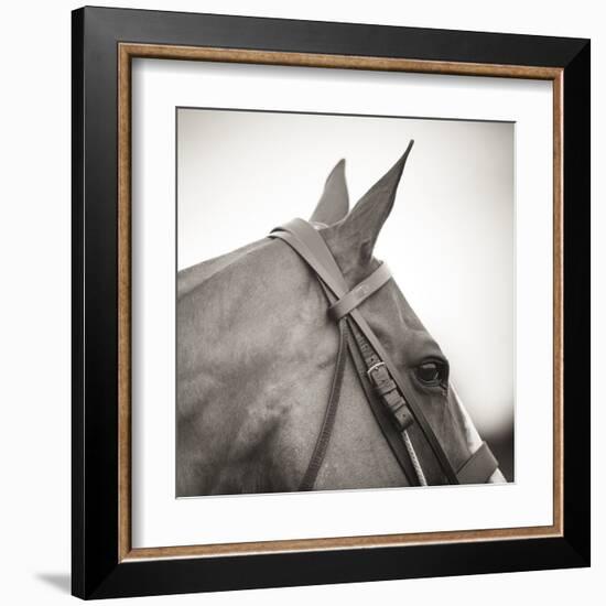 Noble Gaze-Joseph Eta-Framed Giclee Print