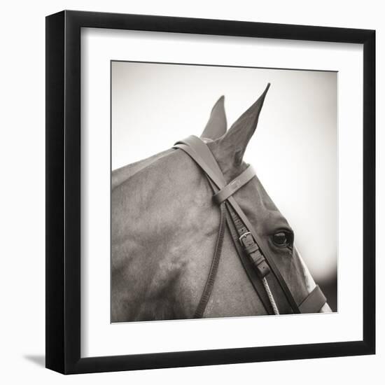 Noble Gaze-Joseph Eta-Framed Giclee Print