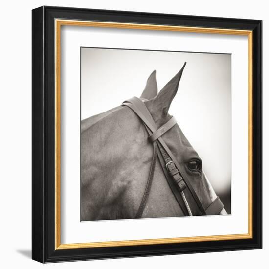 Noble Gaze-Joseph Eta-Framed Giclee Print