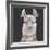 Noble Llama II-Julie Silver-Framed Giclee Print