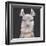 Noble Llama II-Julie Silver-Framed Giclee Print