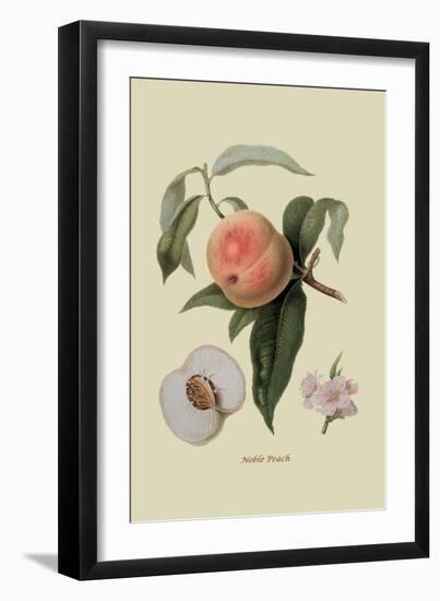 Noble Peach-William Hooker-Framed Art Print