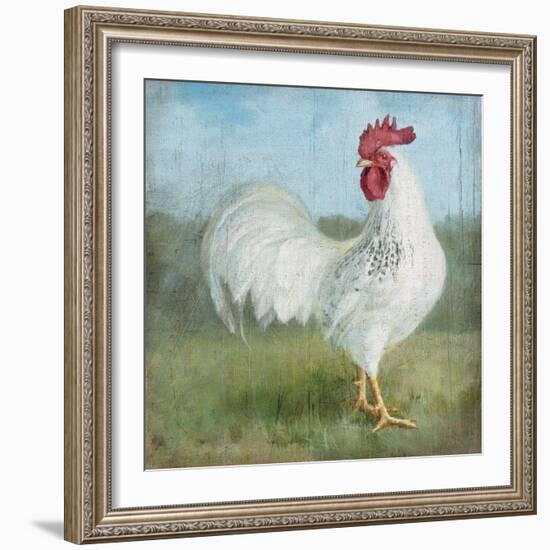 Noble Rooster I  Vintage No Border-Danhui Nai-Framed Art Print