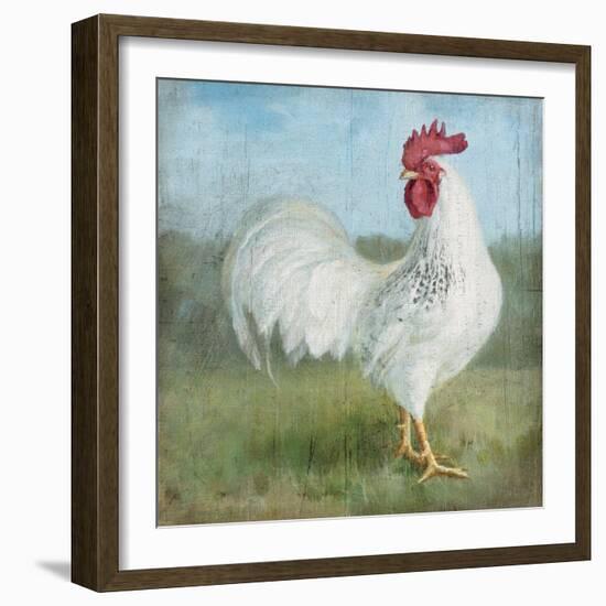 Noble Rooster I  Vintage No Border-Danhui Nai-Framed Art Print