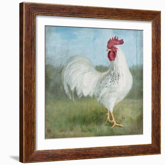 Noble Rooster I  Vintage No Border-Danhui Nai-Framed Art Print