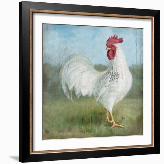 Noble Rooster I  Vintage No Border-Danhui Nai-Framed Art Print