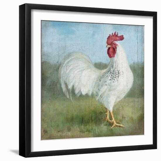 Noble Rooster I  Vintage No Border-Danhui Nai-Framed Art Print