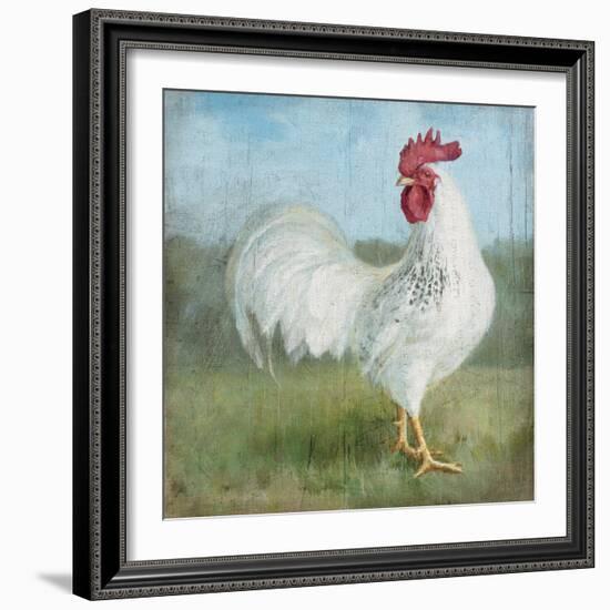 Noble Rooster I  Vintage No Border-Danhui Nai-Framed Art Print