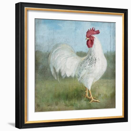 Noble Rooster I  Vintage No Border-Danhui Nai-Framed Art Print